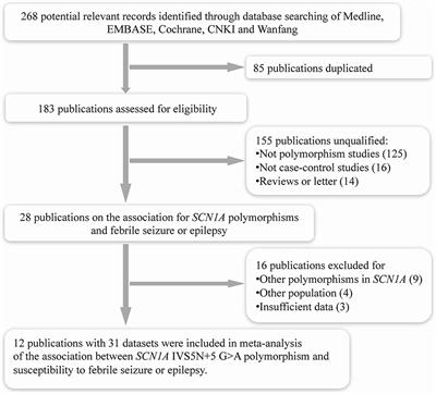 SCN1A IVS5N+5 G>A Polymorphism and Risk of Febrile Seizure and Epilepsy: A Systematic Review and Meta-Analysis